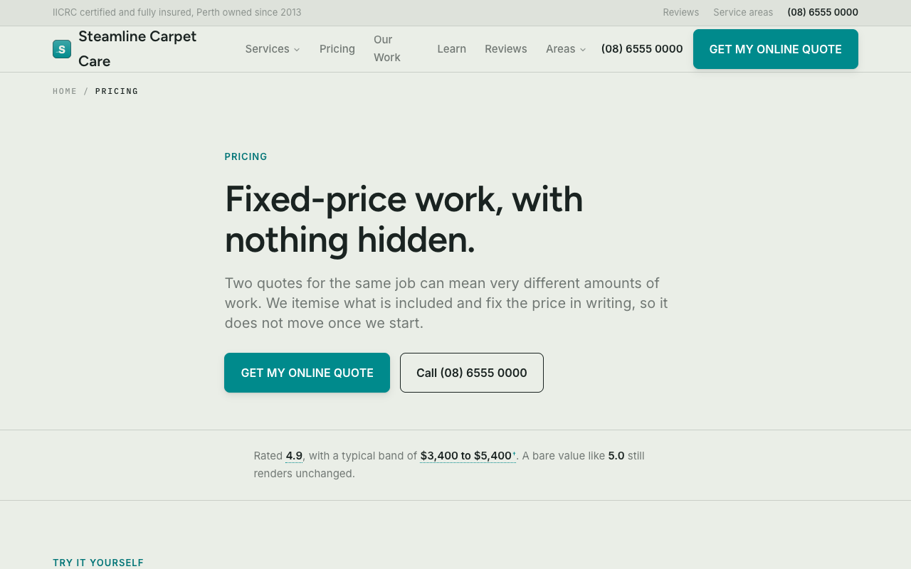 Steamline Carpet Care pricing page